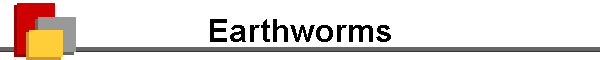 Earthworms